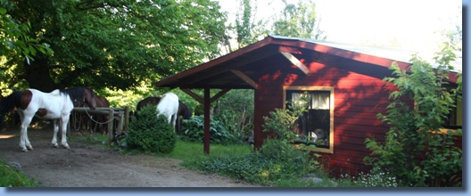 Reiten in Patagonien - Ferienhaus am Sattelplatz auf dem Reit und Pferdehof Antilco,Pucon, Chile.